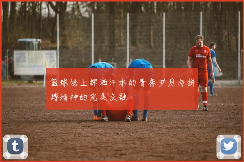 篮球场上挥洒汗水的青春岁月与拼搏精神的完美交融