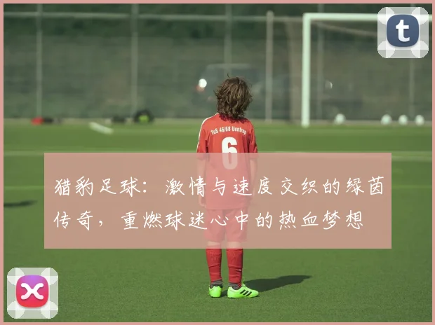 猎豹足球：激情与速度交织的绿茵传奇，重燃球迷心中的热血梦想